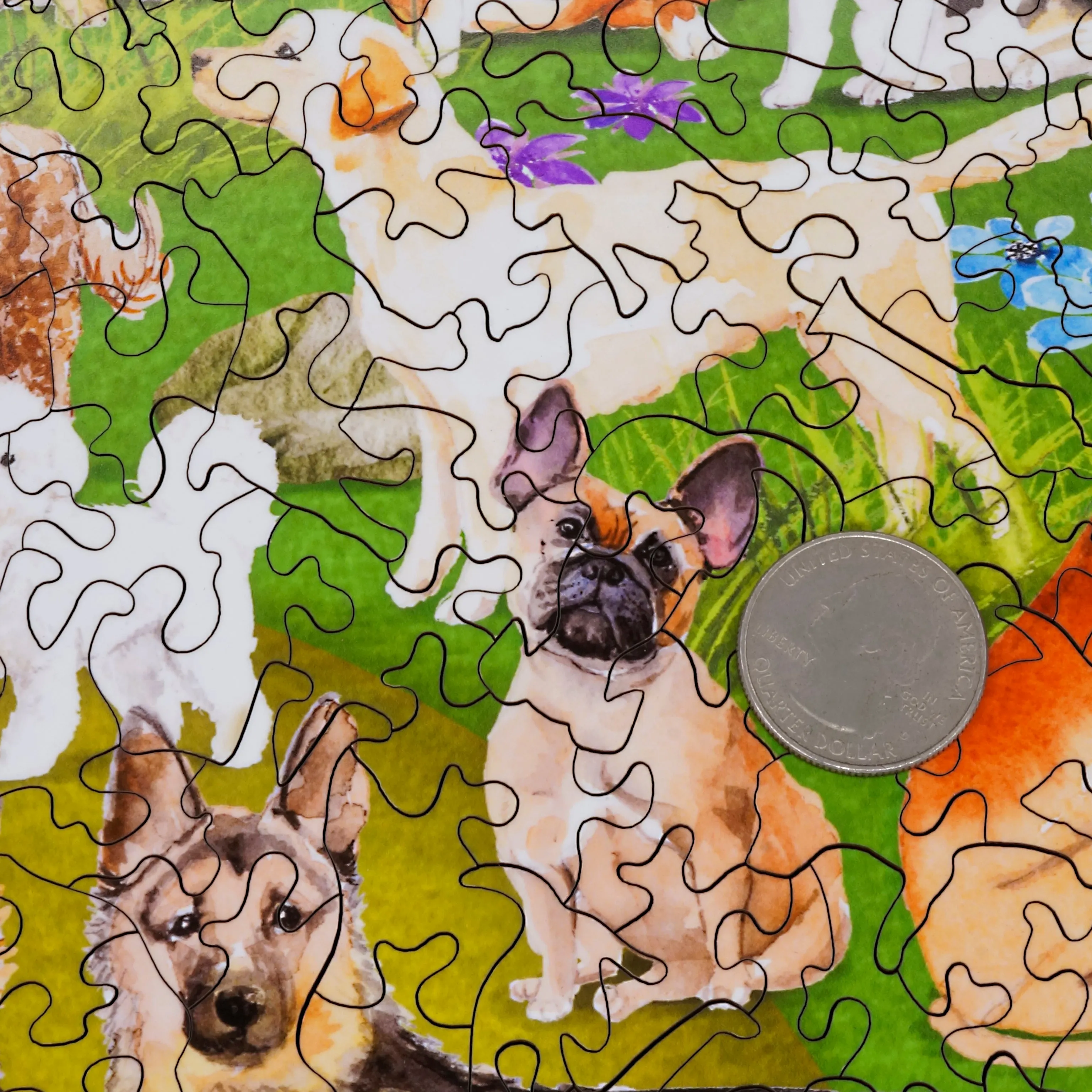 At The Dog Park (500 Piece Wooden Jigsaw Puzzle)