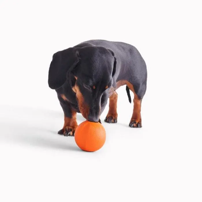 Beco - Natural Rubber Fetch Ball - Orange