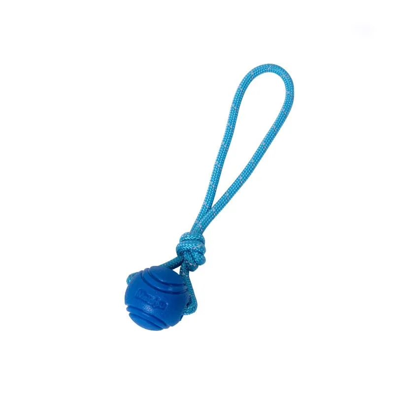 Bite-Resistant Pet Bouncy Ball