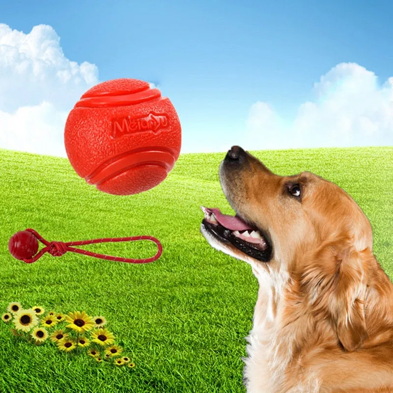Bite-Resistant Pet Bouncy Ball