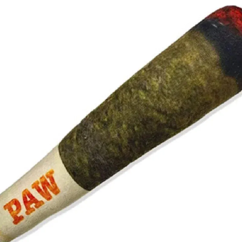 Cigar Plush Pet Toy