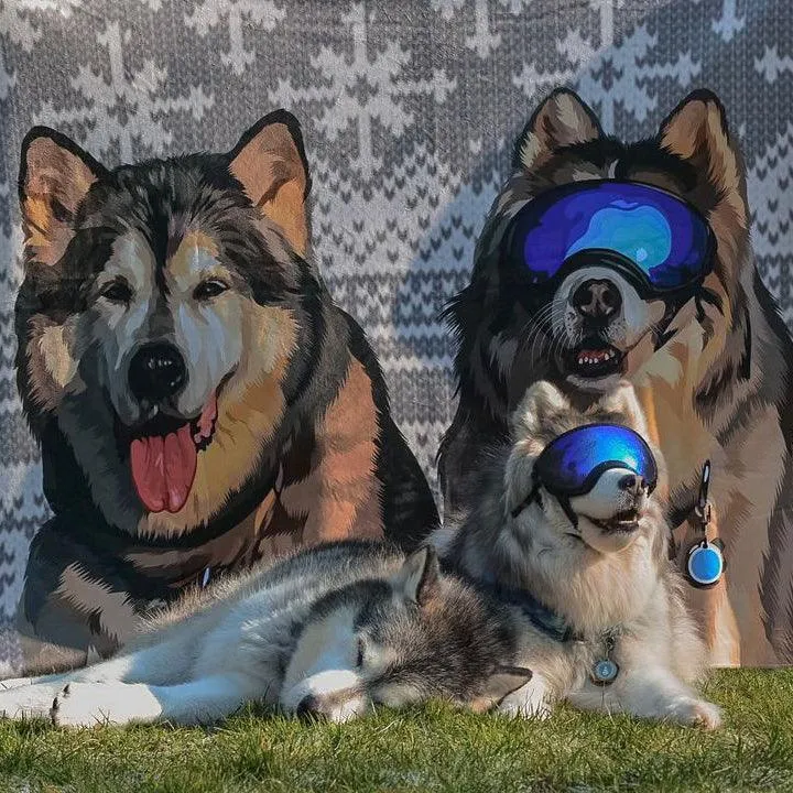 Custom Pet Sherpa Blanket