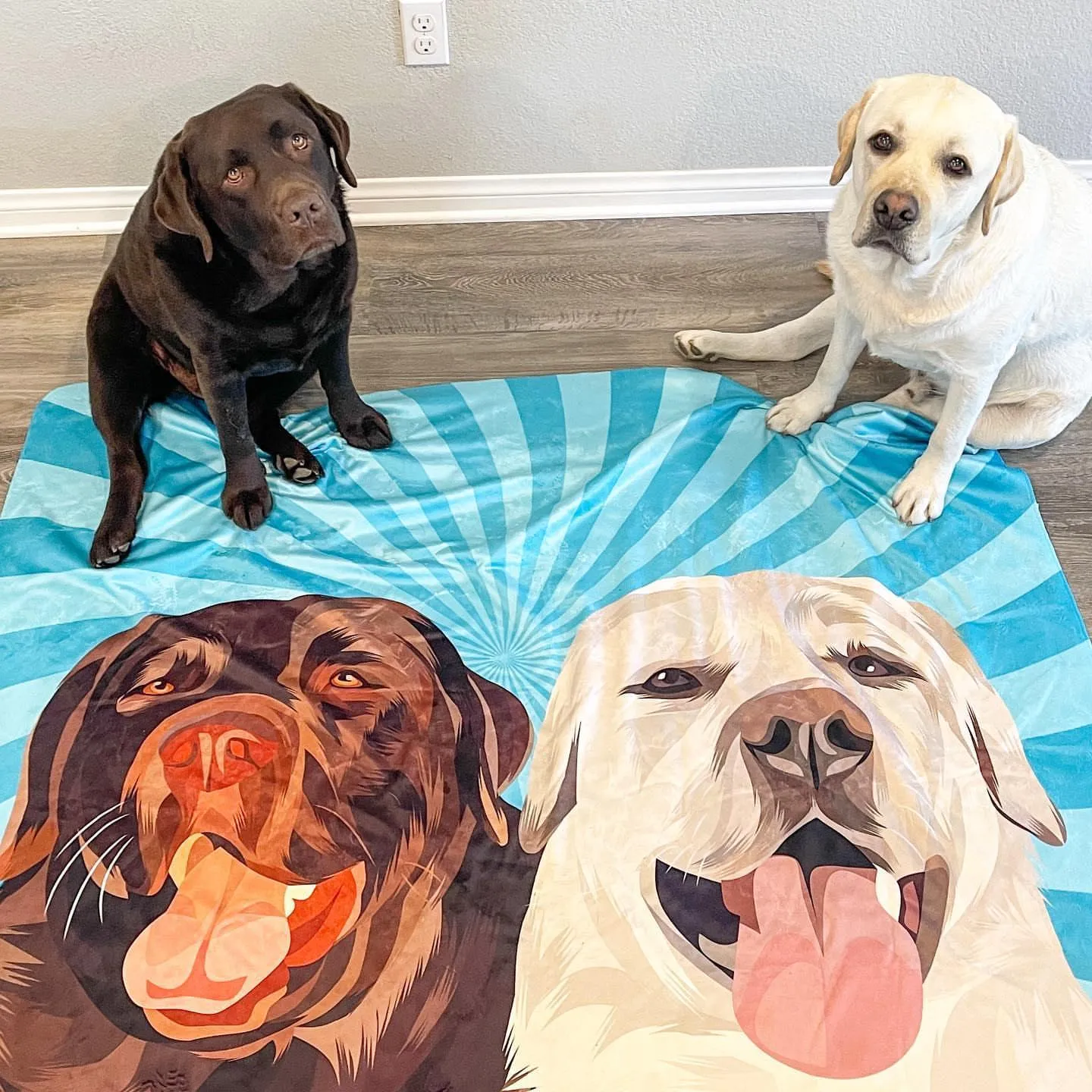 Custom Pet Sherpa Blanket