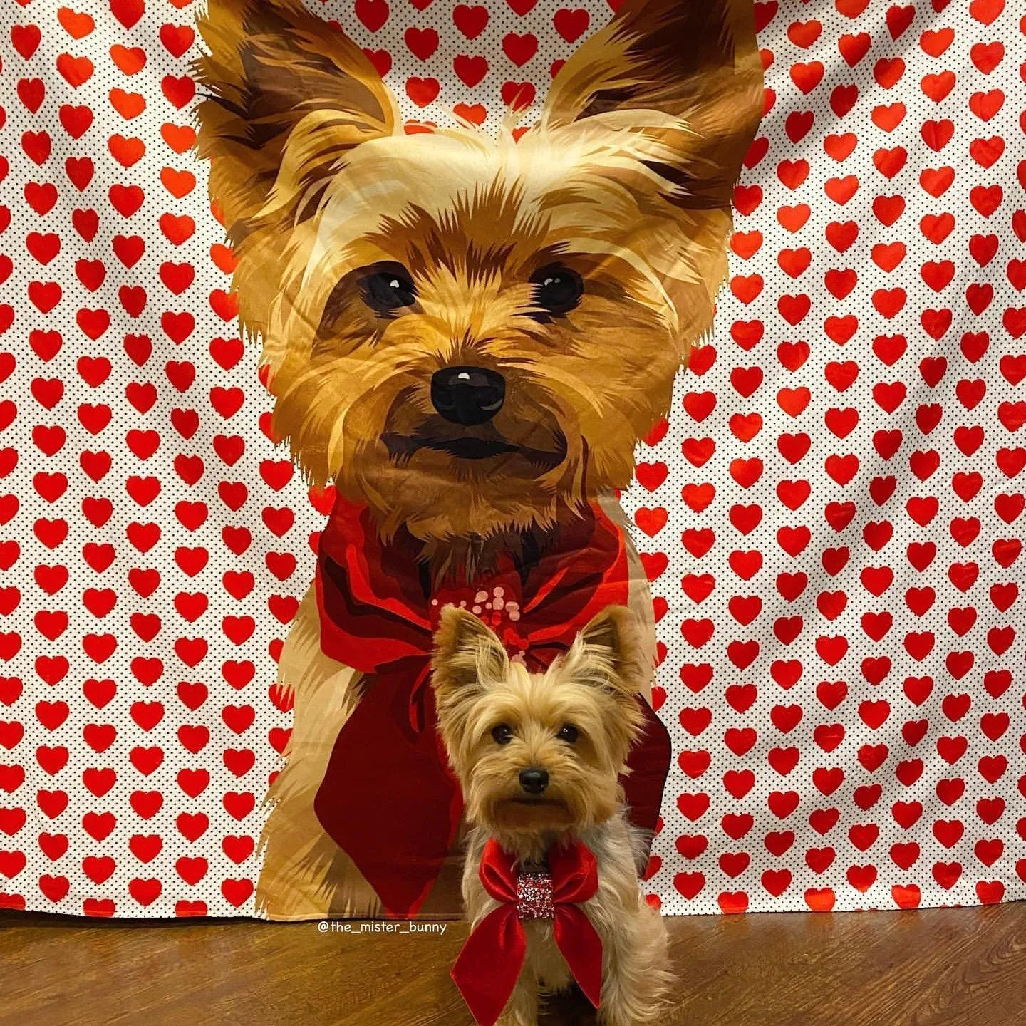 Custom Pet Sherpa Blanket