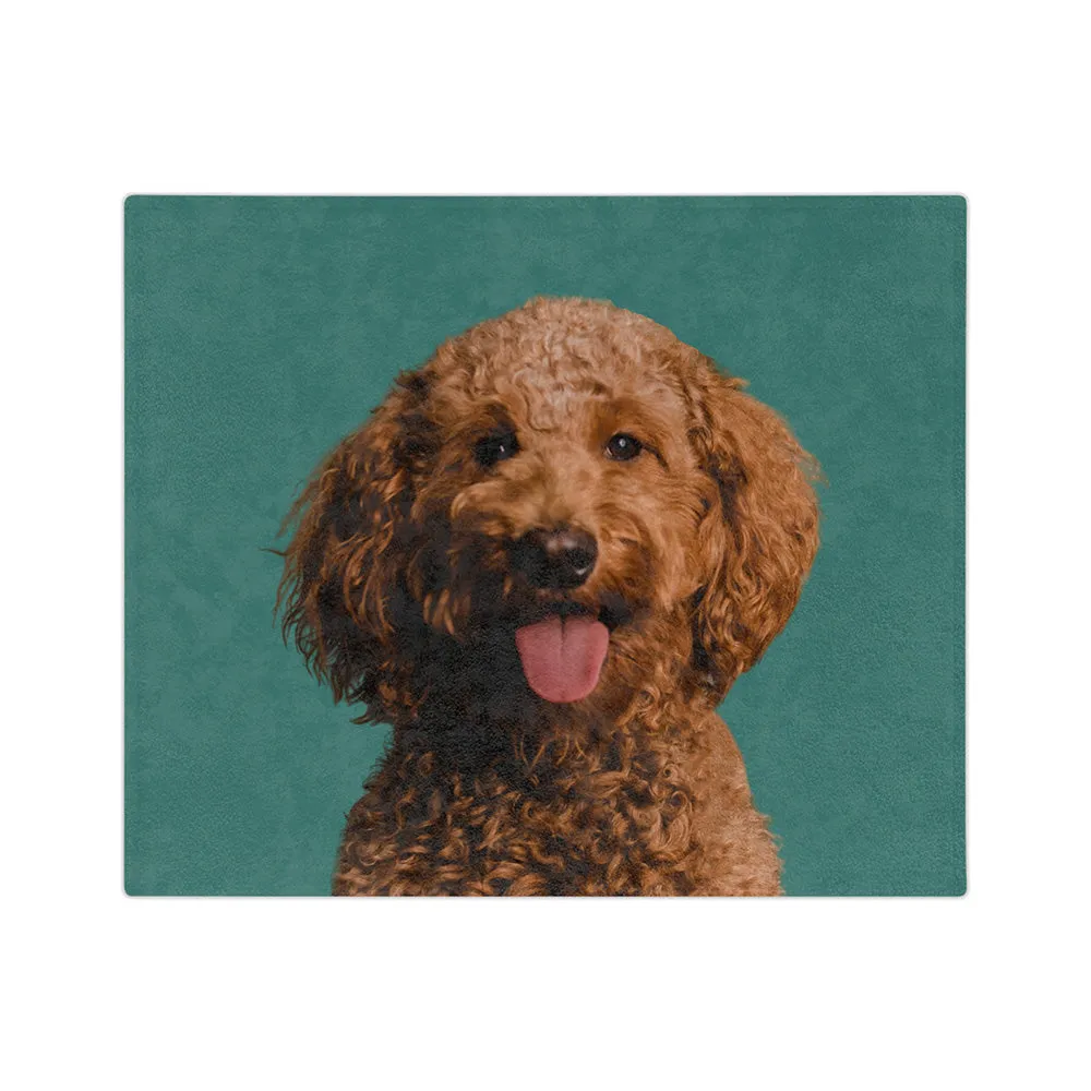 Customized Pet Art Blanket Hand Illustration 1 Pet