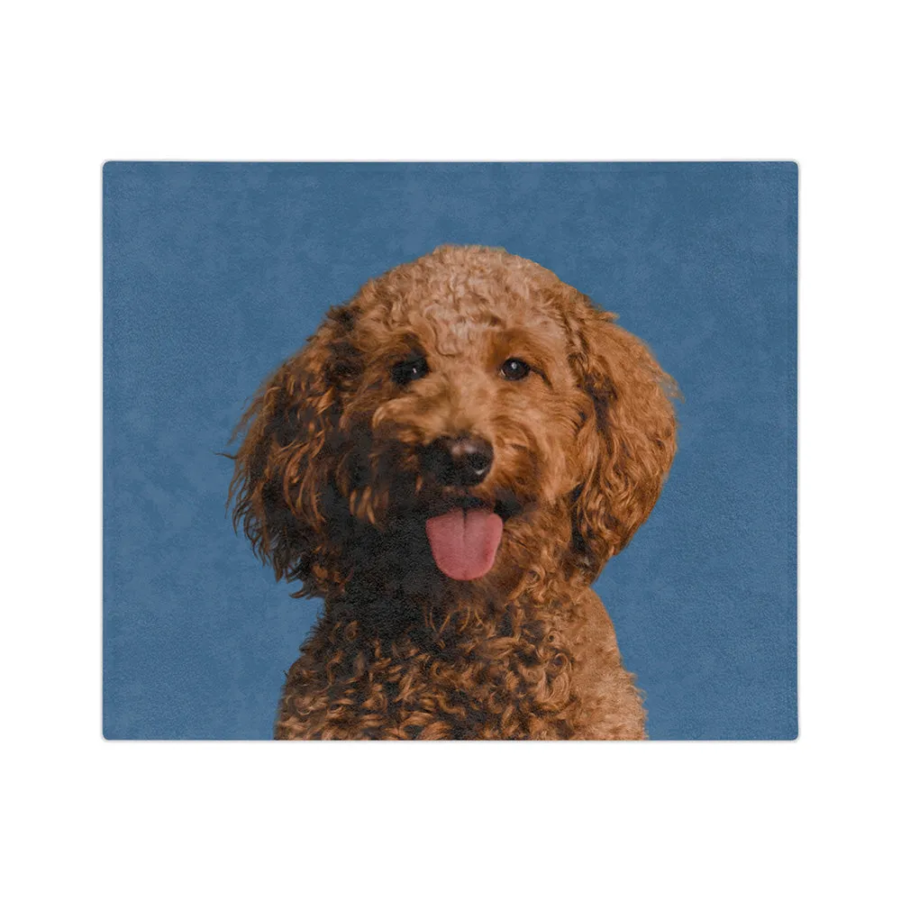 Customized Pet Art Blanket Hand Illustration 1 Pet
