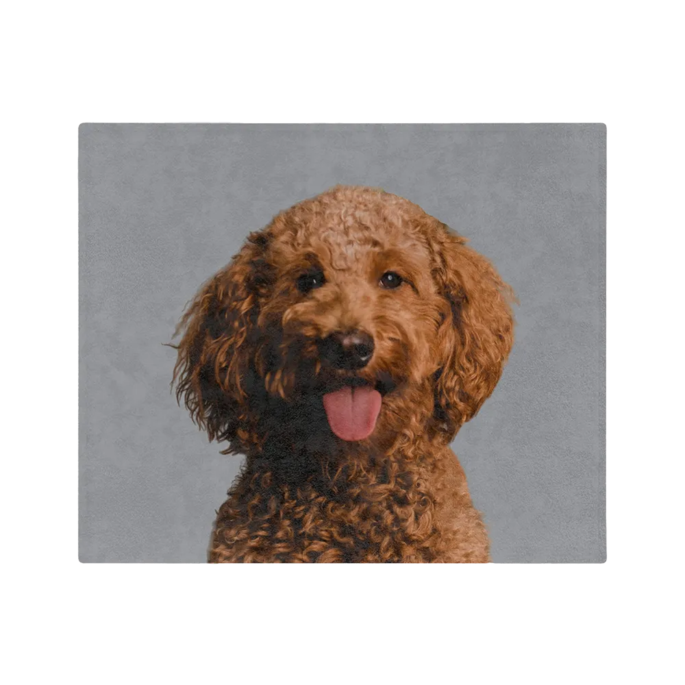 Customized Pet Art Blanket Hand Illustration 1 Pet