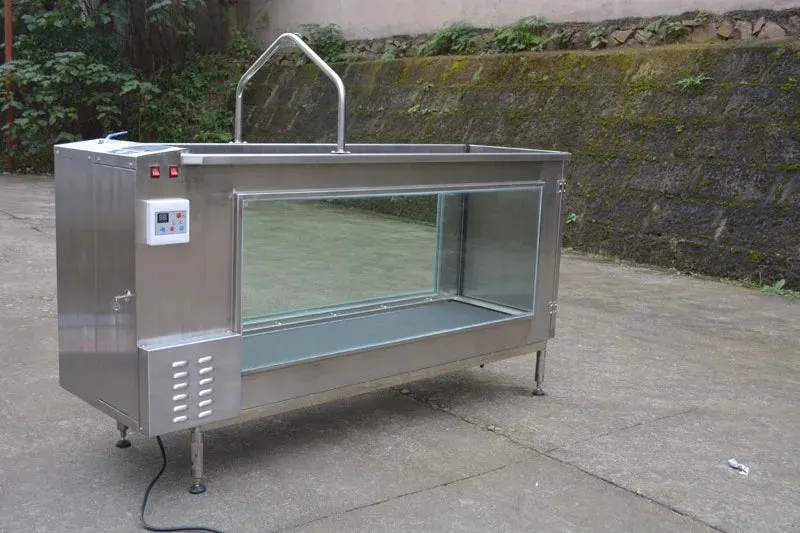 Dog Pet Underwater Treadmill for Fitness I 2HP I 160lbs Weight Capacity I Meubon