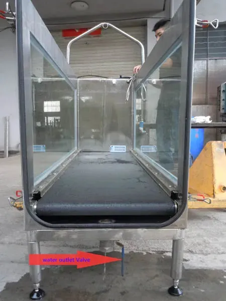 Dog Pet Underwater Treadmill for Fitness I 2HP I 160lbs Weight Capacity I Meubon