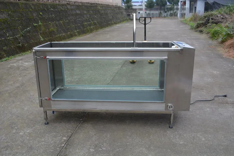 Dog Pet Underwater Treadmill for Fitness I 2HP I 160lbs Weight Capacity I Meubon