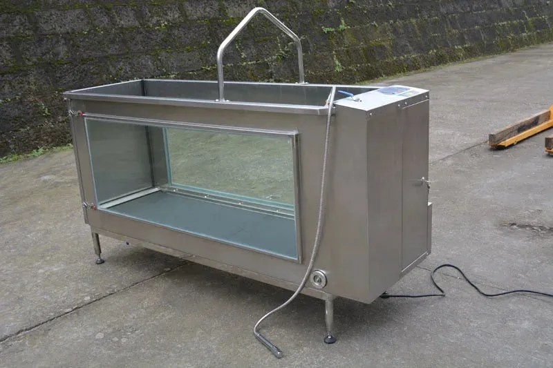 Dog Pet Underwater Treadmill for Fitness I 2HP I 160lbs Weight Capacity I Meubon