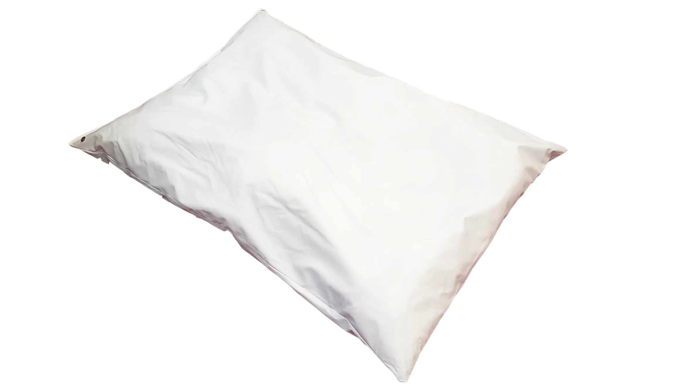 iCare Pillow Protector (Pair)