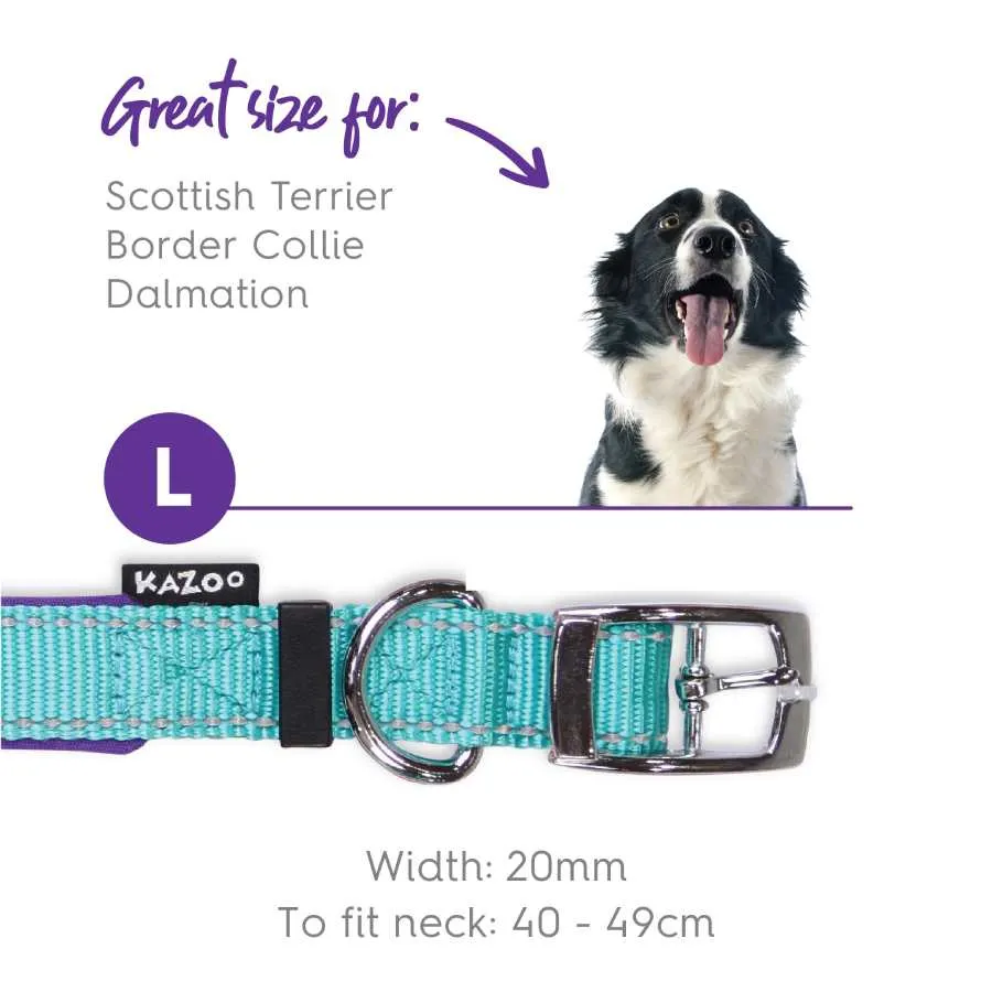 Kazoo Active Nylon Collar Aqua Purple