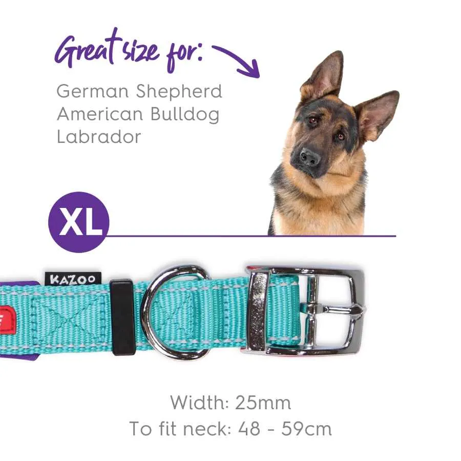Kazoo Active Nylon Collar Aqua Purple