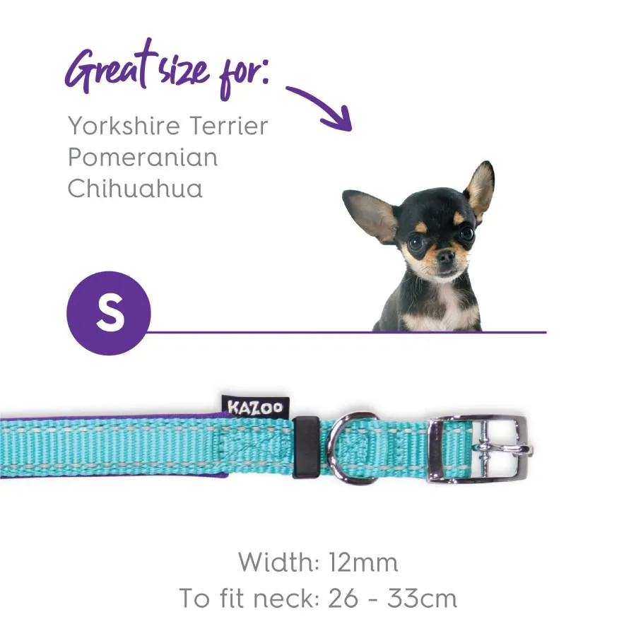 Kazoo Active Nylon Collar Aqua Purple
