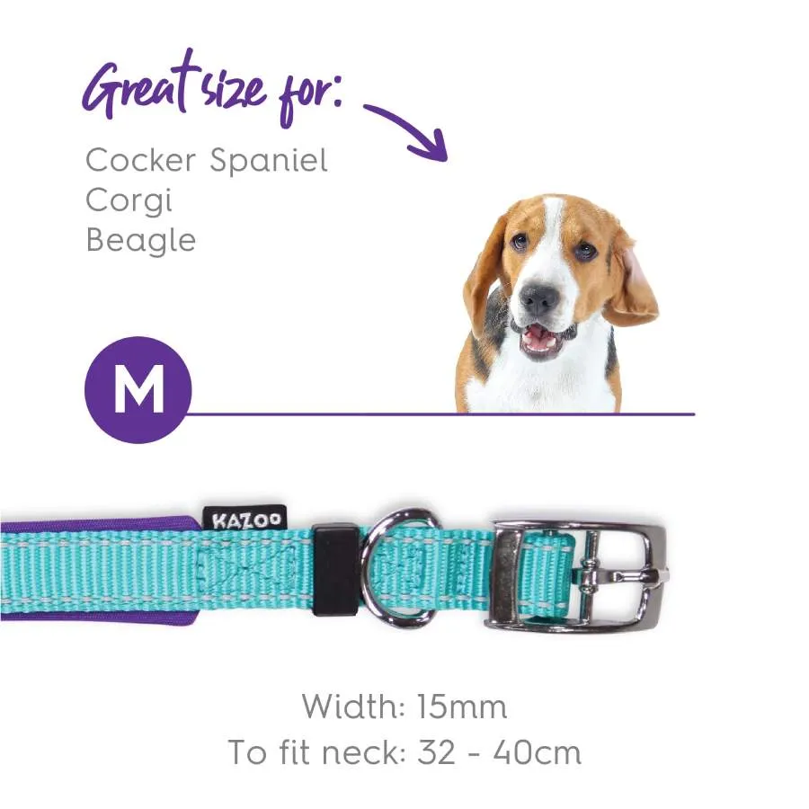 Kazoo Active Nylon Collar Aqua Purple