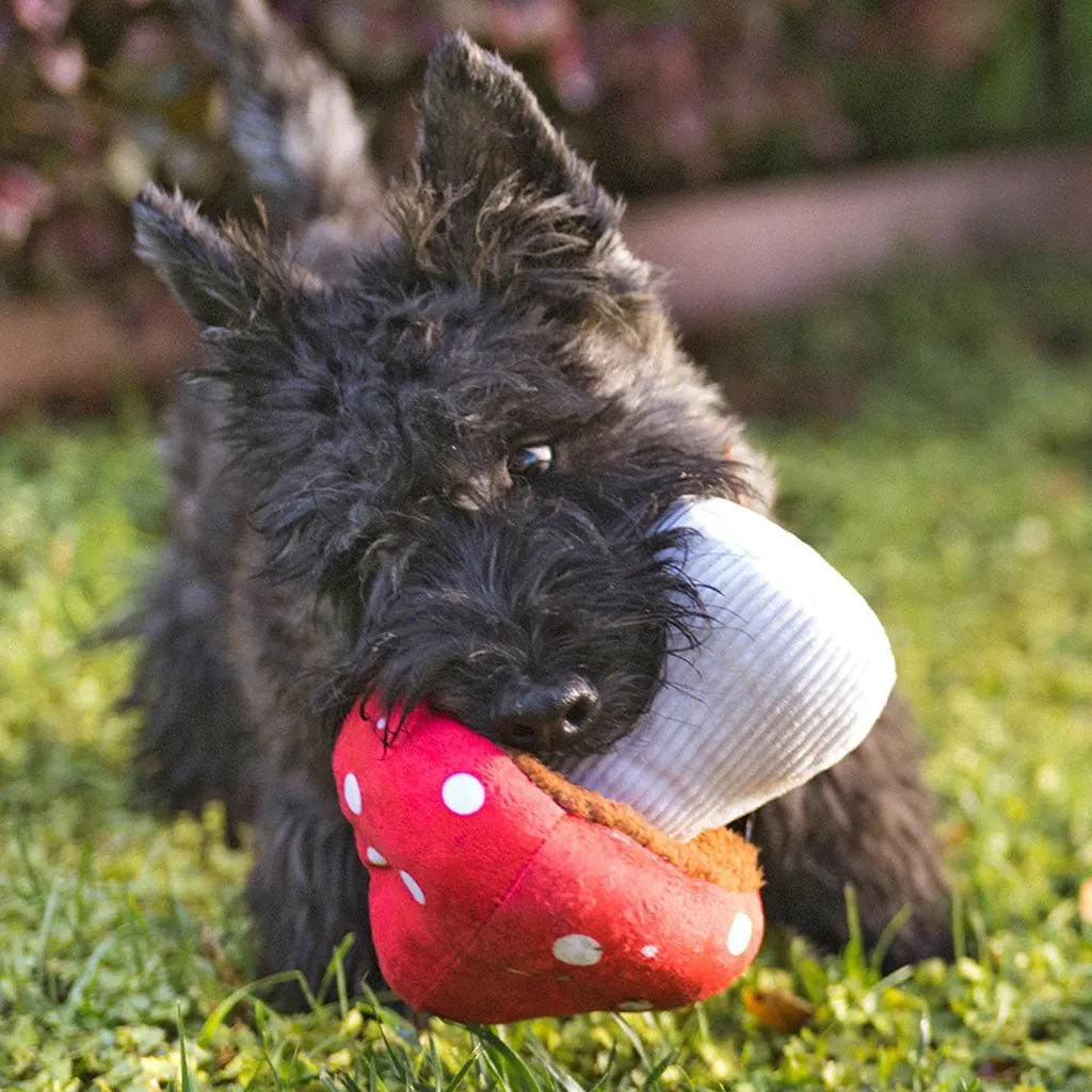 Mutt Mushroom Plush Dog Toy