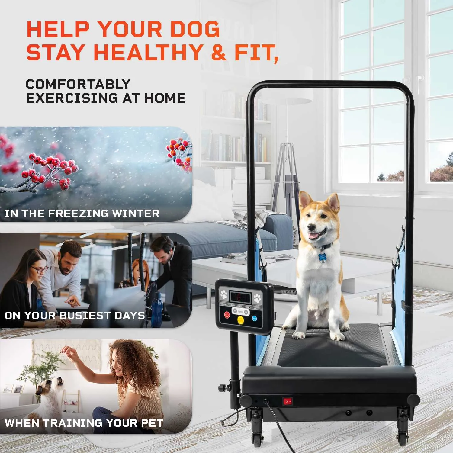PawRunner Pet Treadmill