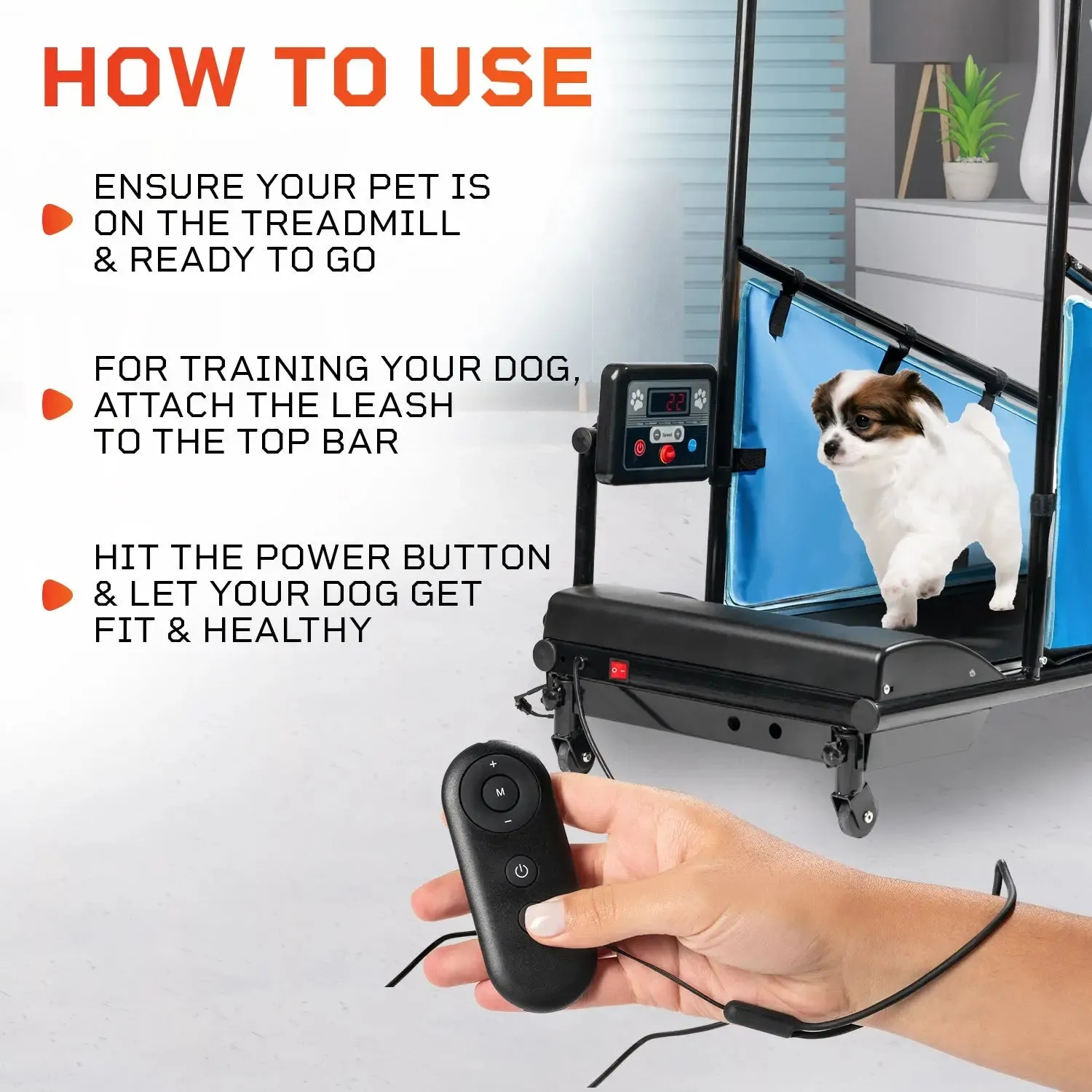 PawRunner Pet Treadmill