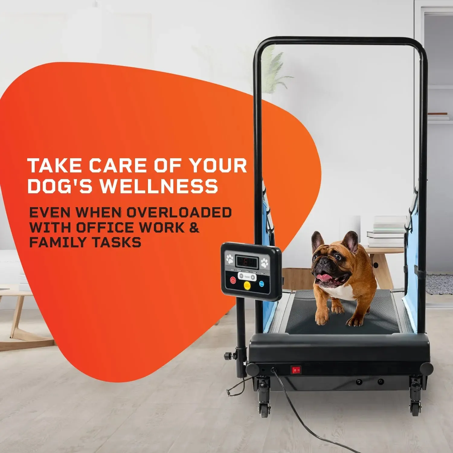 PawRunner Pet Treadmill