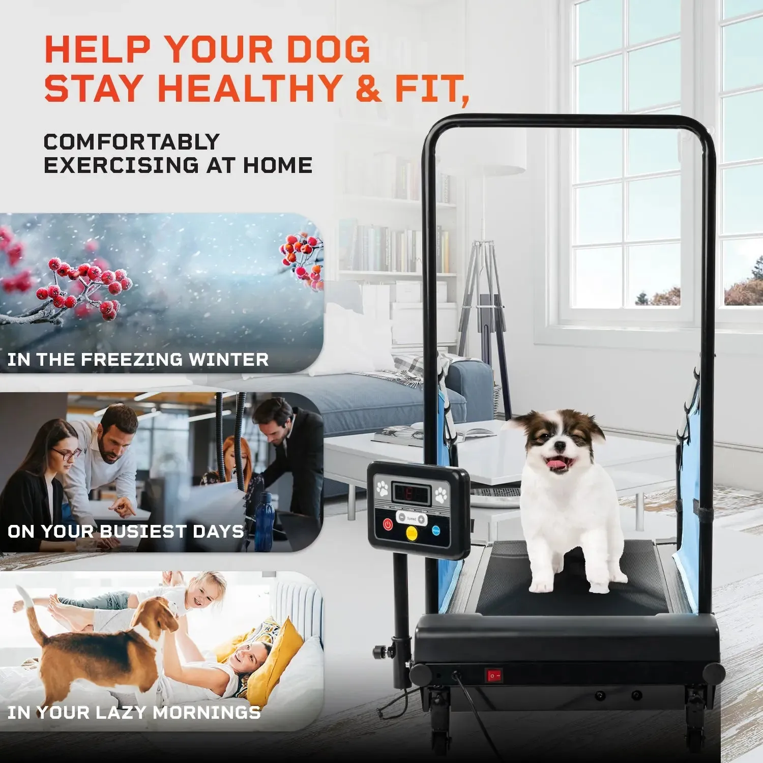PawRunner Pet Treadmill