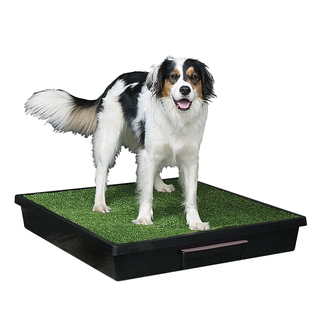 Pet Loo® Portable Pet Toilet