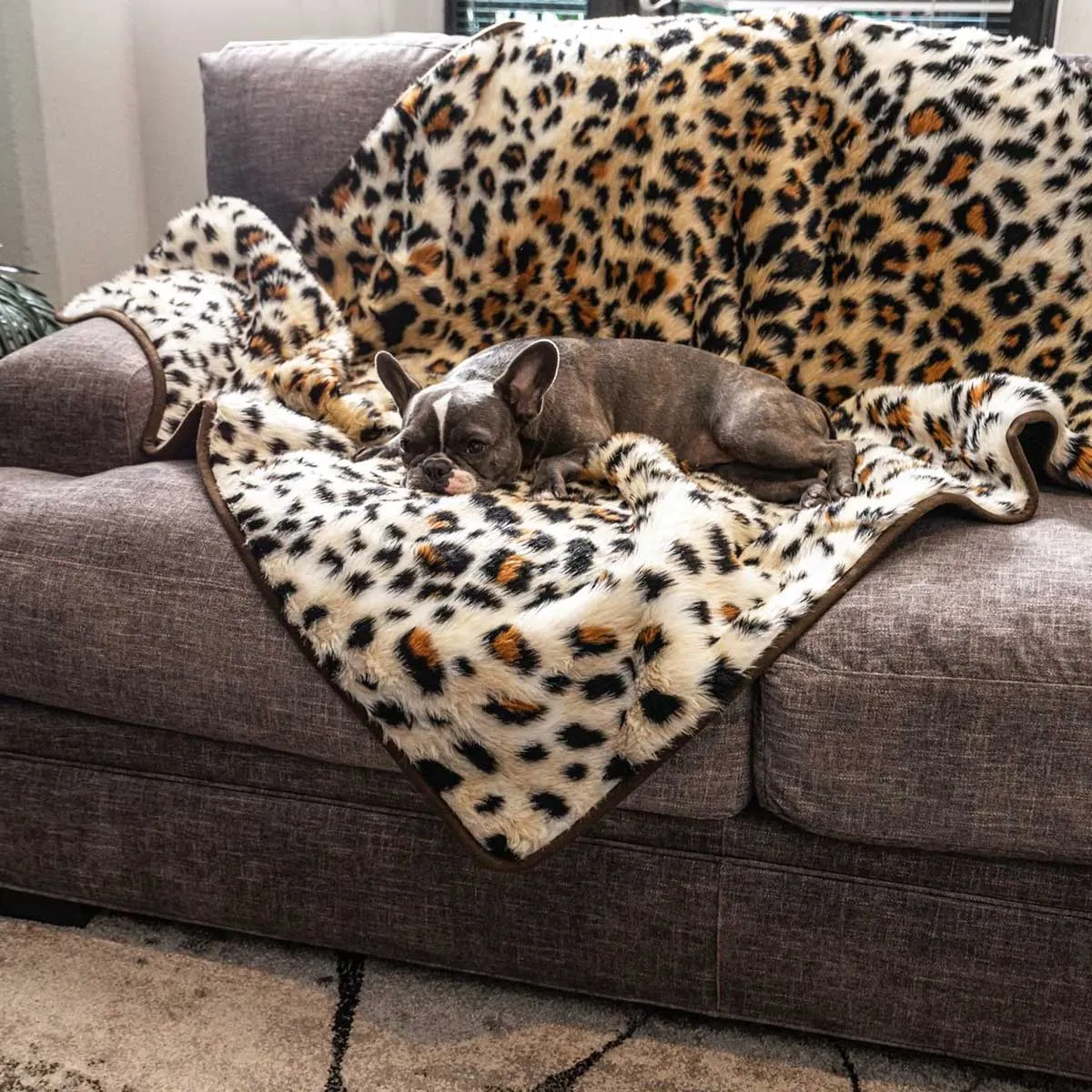 PupProtector Waterproof Throw Blanket - Cheetah Faux Print
