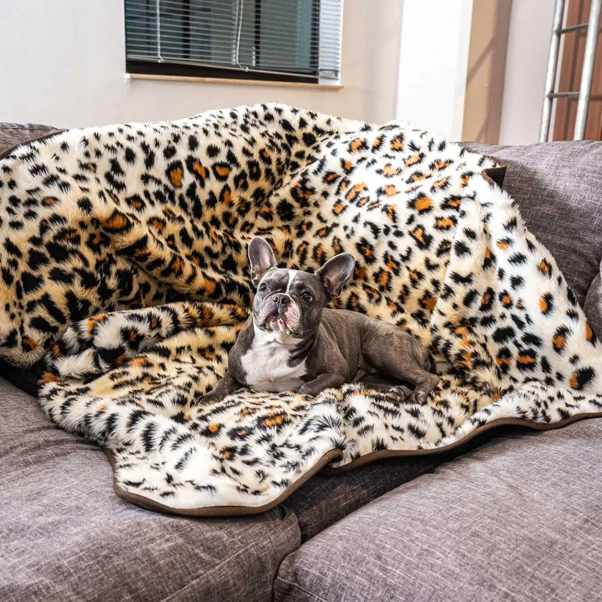 PupProtector Waterproof Throw Blanket - Cheetah Faux Print