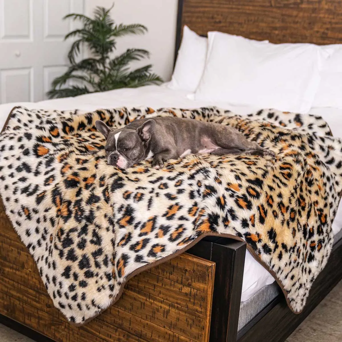 PupProtector Waterproof Throw Blanket - Cheetah Faux Print