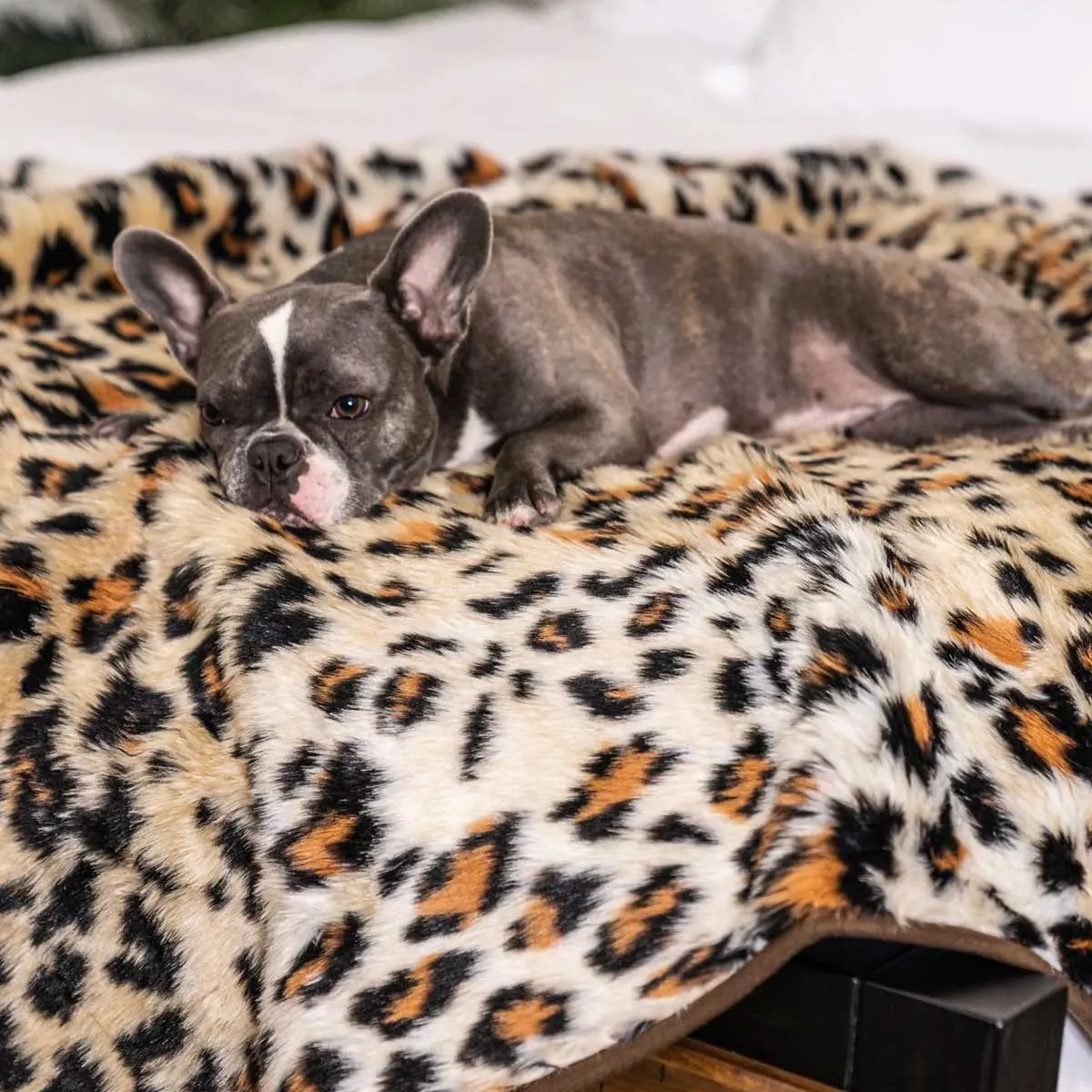 PupProtector Waterproof Throw Blanket - Cheetah Faux Print