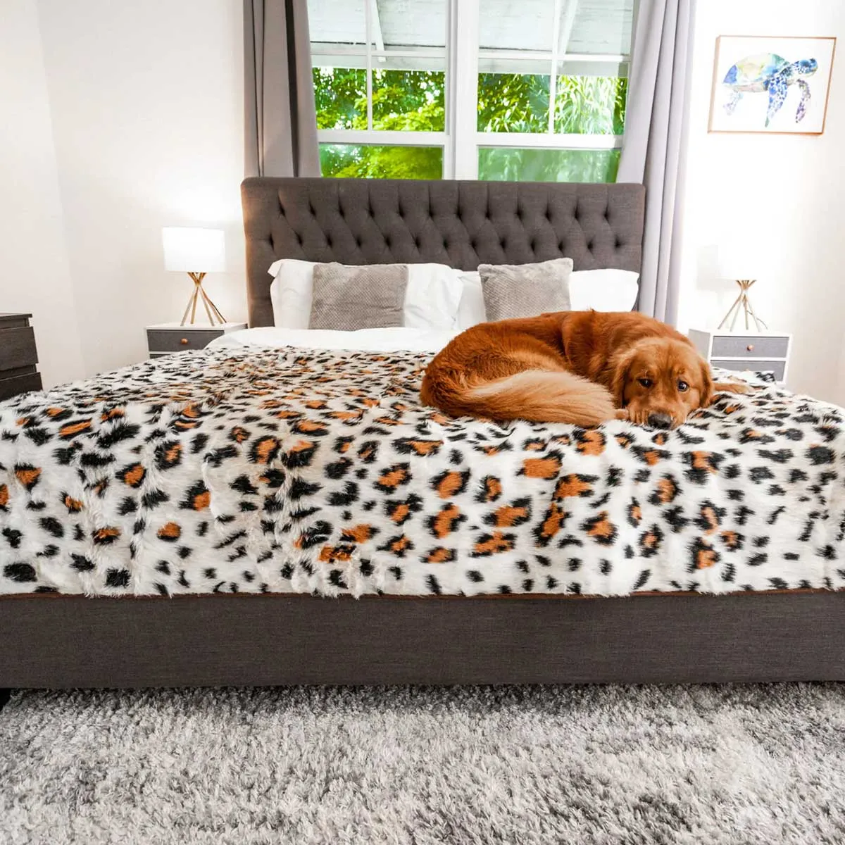 PupProtector Waterproof Throw Blanket - Cheetah Faux Print