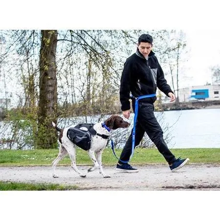 RC Dog Active Leash Black