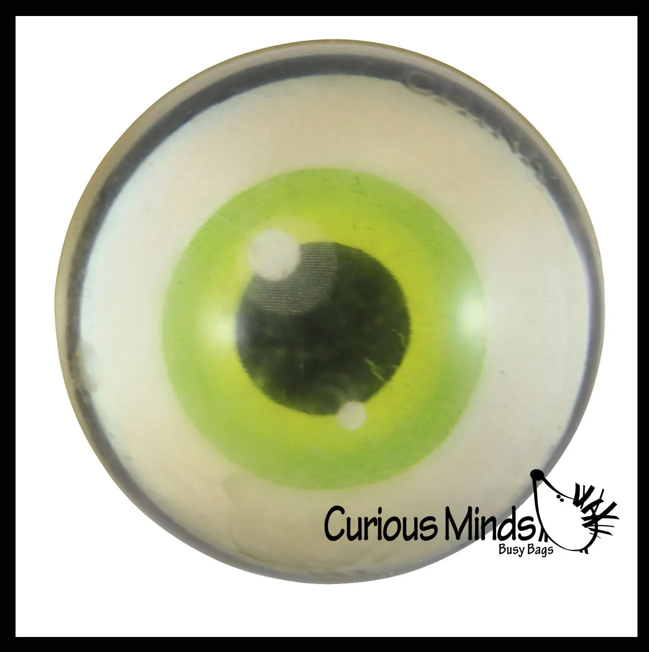 Realistic Human Eye Super Bouncy Balls - Eyeball Novelty Party Favor Toy Ophthalmologist, Optometry Anatomy