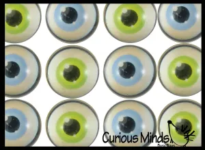 Realistic Human Eye Super Bouncy Balls - Eyeball Novelty Party Favor Toy Ophthalmologist, Optometry Anatomy