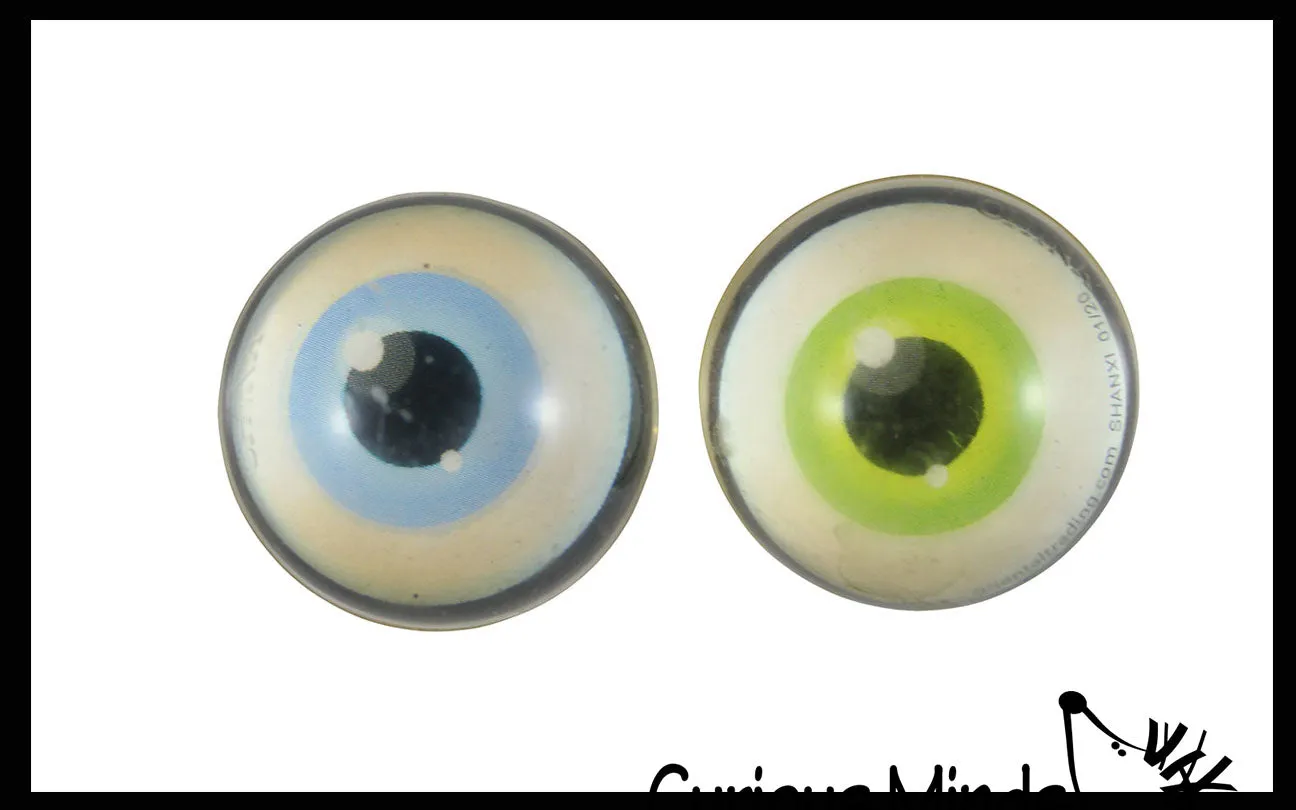 Realistic Human Eye Super Bouncy Balls - Eyeball Novelty Party Favor Toy Ophthalmologist, Optometry Anatomy