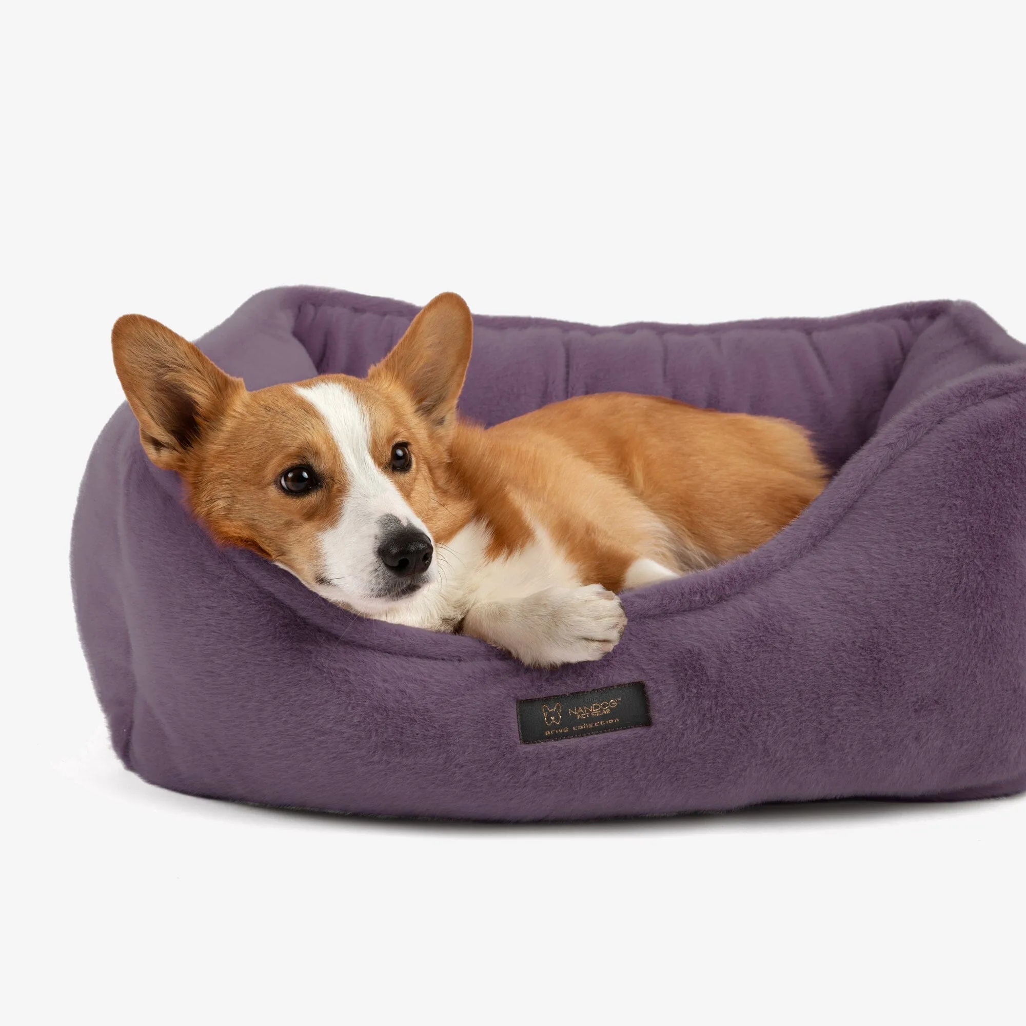 The Dream ONE Bed in Royal Purple