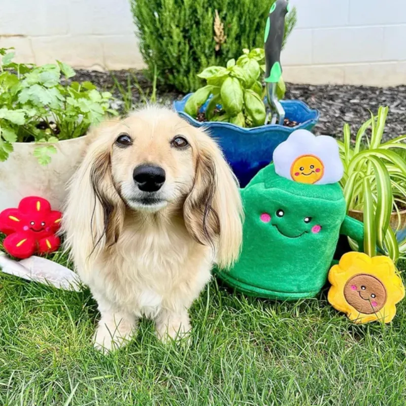 ZippyPaws Burrow Watering Can and Flowers Dog Toy