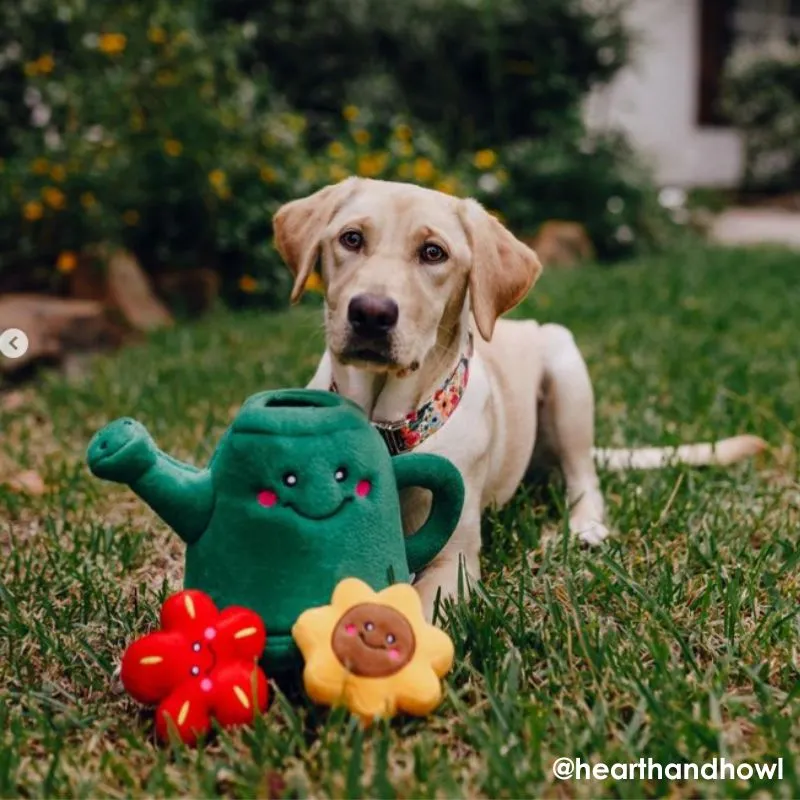 ZippyPaws Burrow Watering Can and Flowers Dog Toy